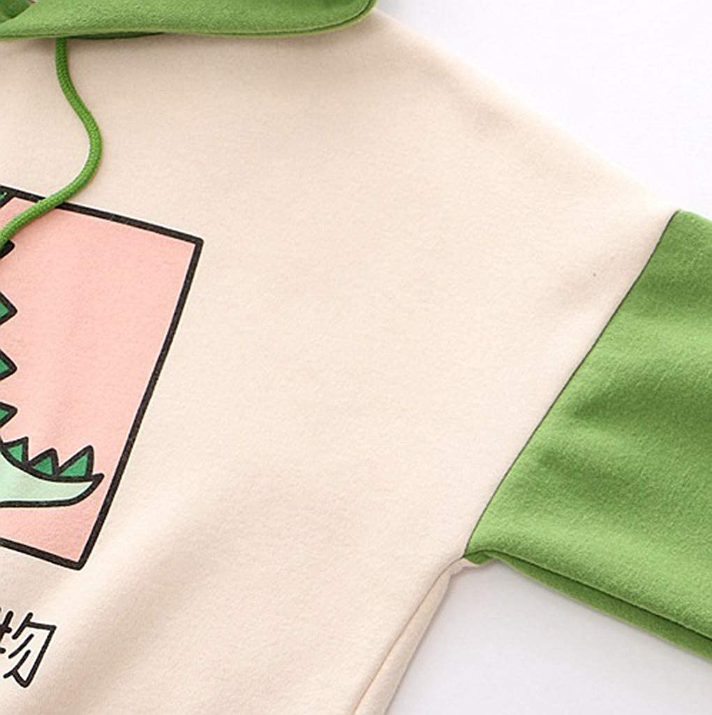 Kawaii Dinosaur Sweatshirt Long Sleeve Cartoon Cute Hoodies 3